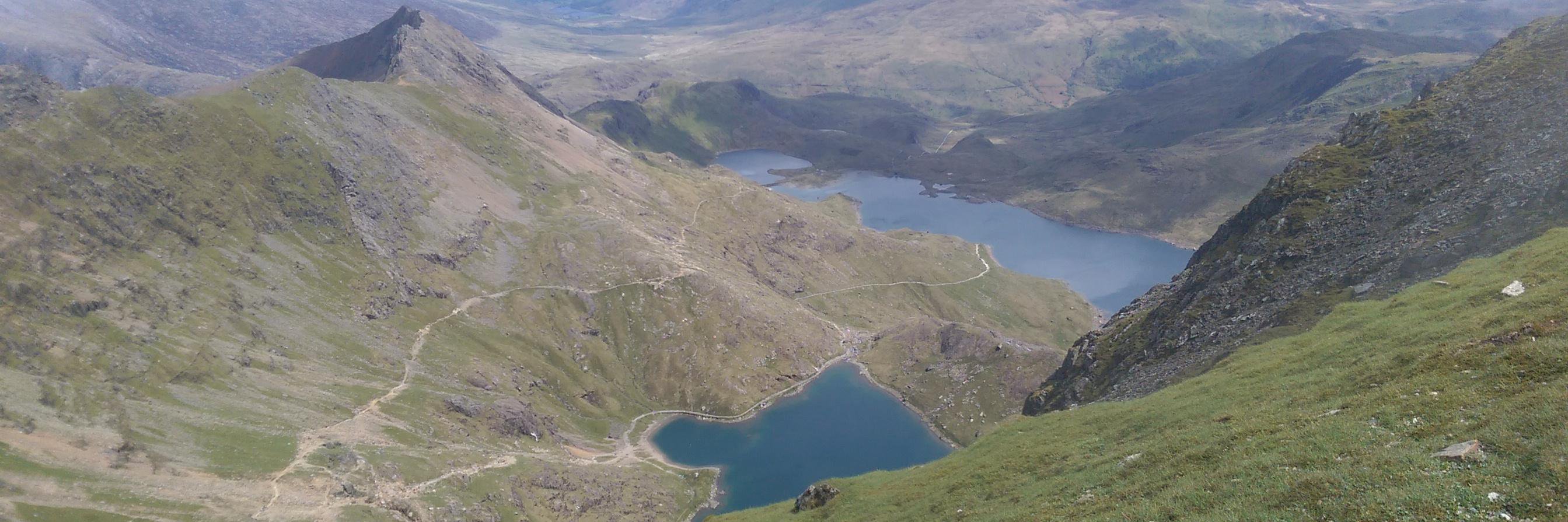 anthony shepwilliams banner