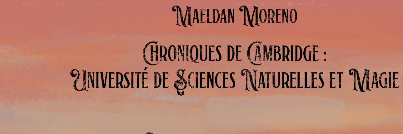 MaeldanMoreno's profile banner image