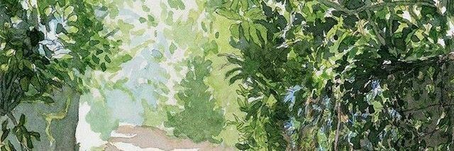 pyrubae's profile banner image