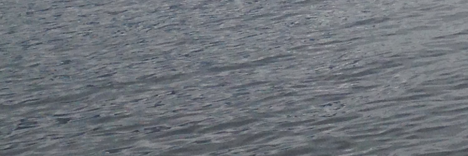 TCarv13's profile banner image