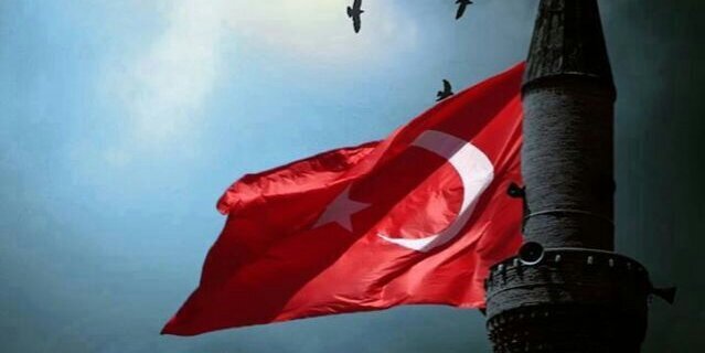 terzisedat's profile banner image