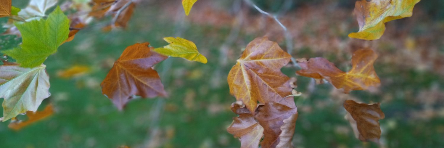 sassymarthamoo's profile banner image
