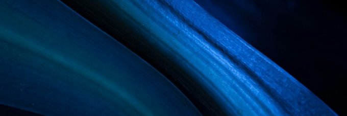 FannyRitterMilz's profile banner image