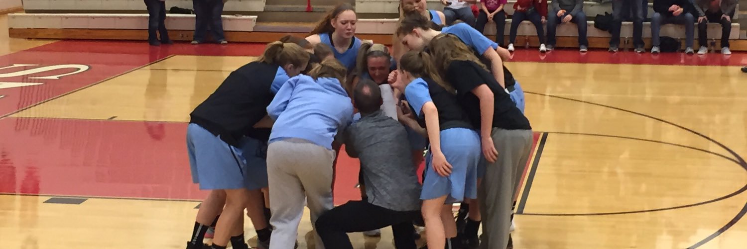 ladytribebball's profile banner image