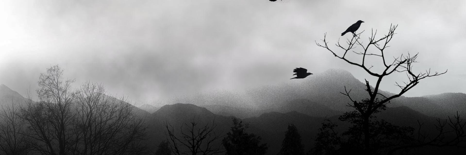 Vampyrelina's profile banner image