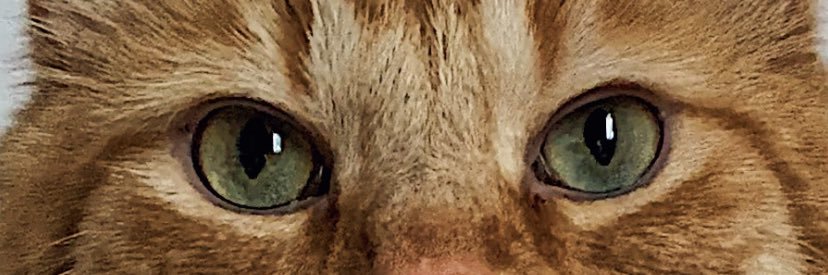 fredefaucher's profile banner image