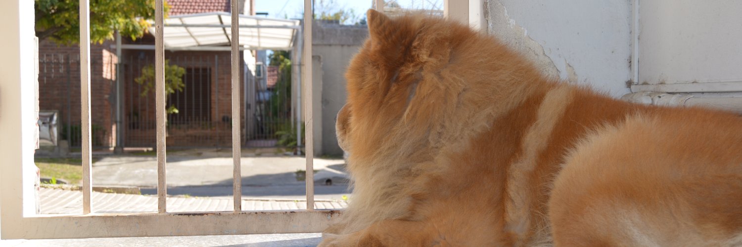 JulianAngel_87's profile banner image
