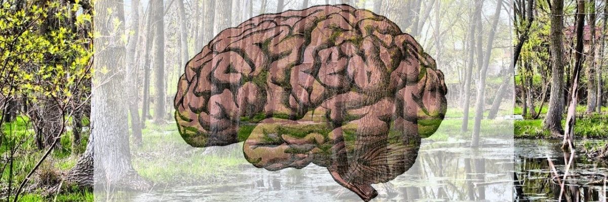 Anirniq's profile banner image