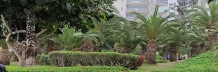 SandymtoPeru's profile banner image