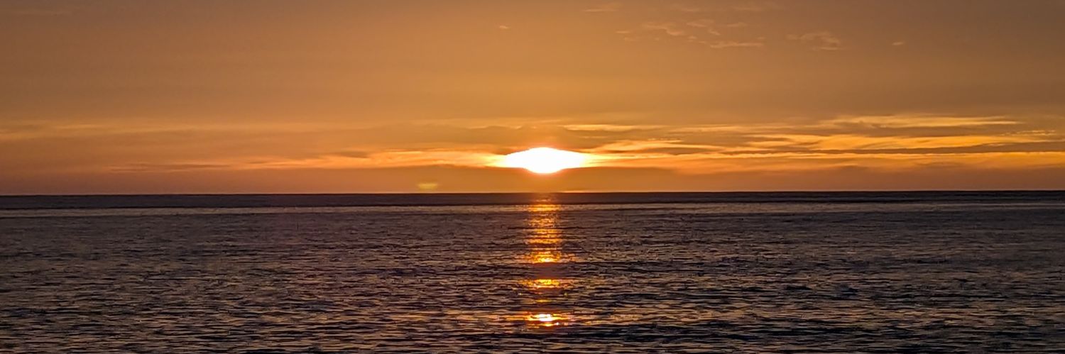 Tim Larry 🇨🇦 banner