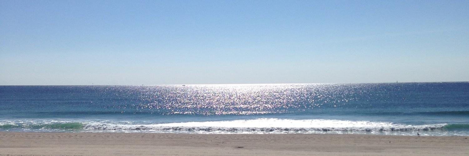 Steve Cantwell banner