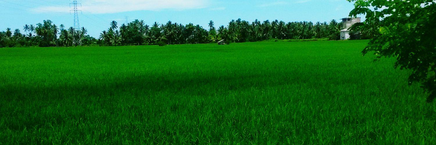 Setyawan811's profile banner image