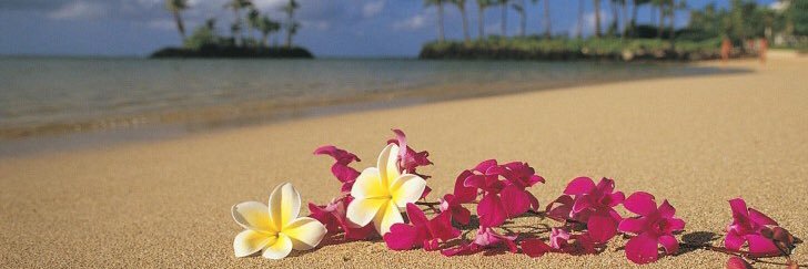 ssv_sonia's profile banner image