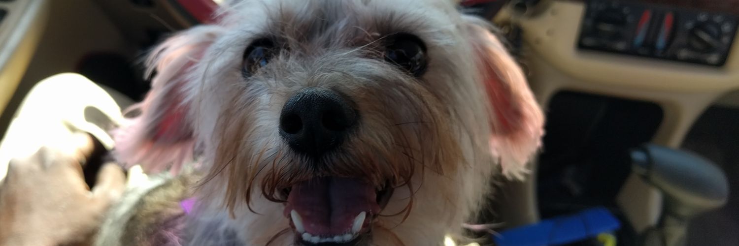 mr_ss_destroyer's profile banner image
