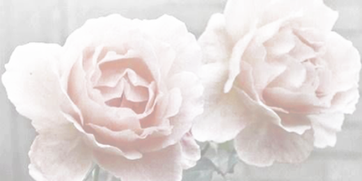 alexisctgdr's profile banner image