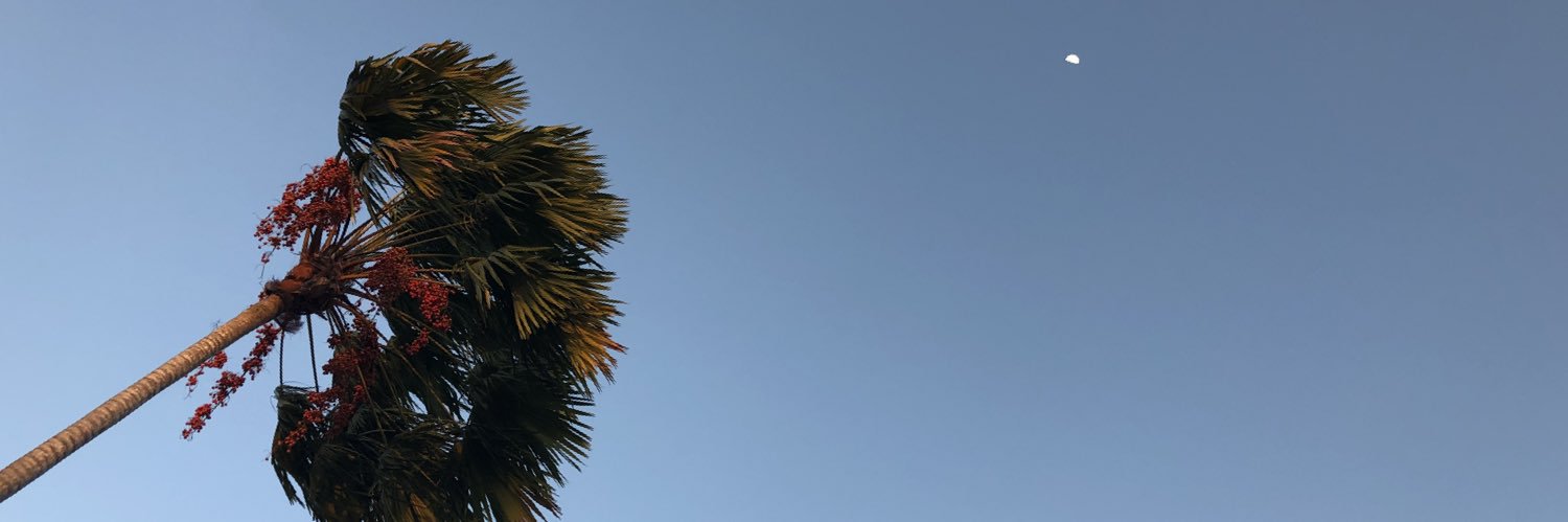 georgiameloo's profile banner image