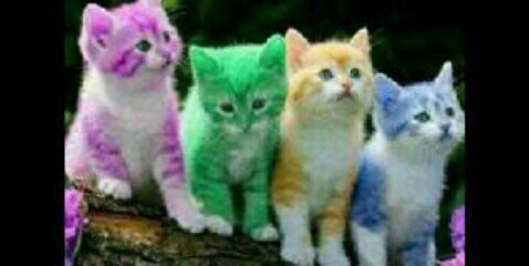 abdullah65477's profile banner image