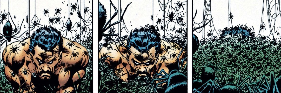 samanthahausen banner