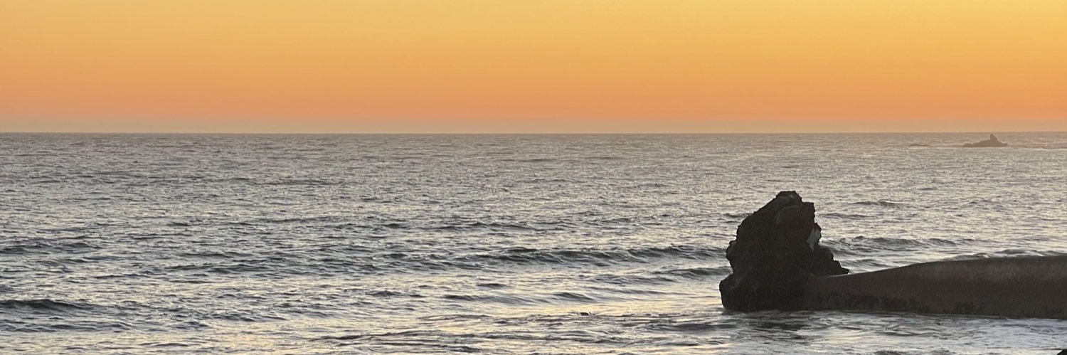 B 🐝🦋🪐 banner