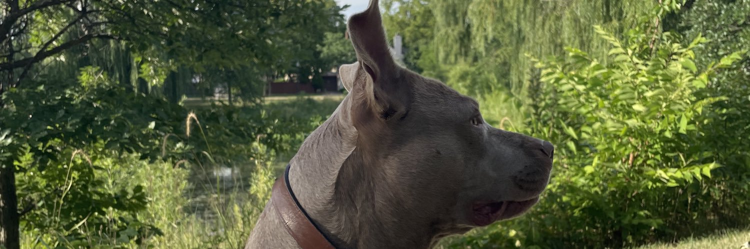 Bonnie Bentson, MD banner