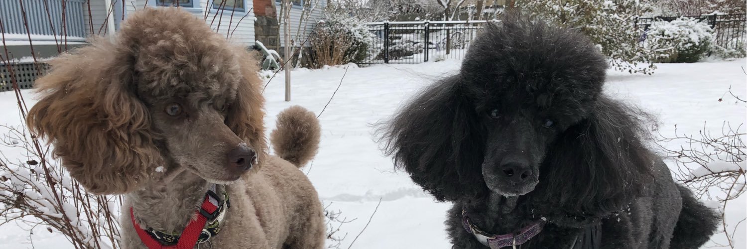 Caryl Sortwell banner