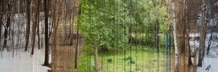 TimmyT_11's profile banner image