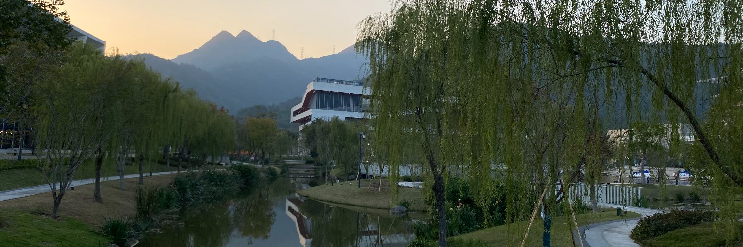 Michael Burri banner