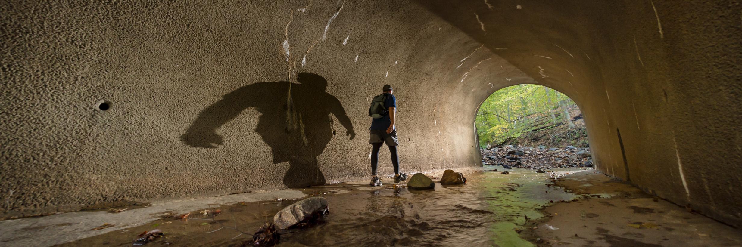 Geoffrey S. Baker banner