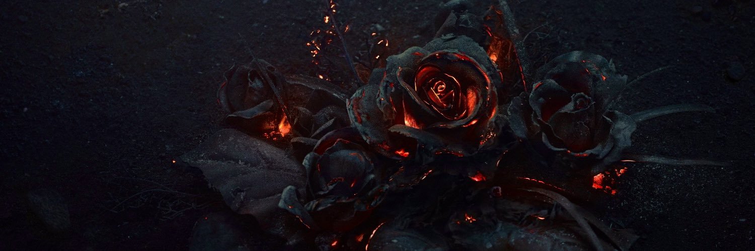Vix_Hopeless🖤 banner
