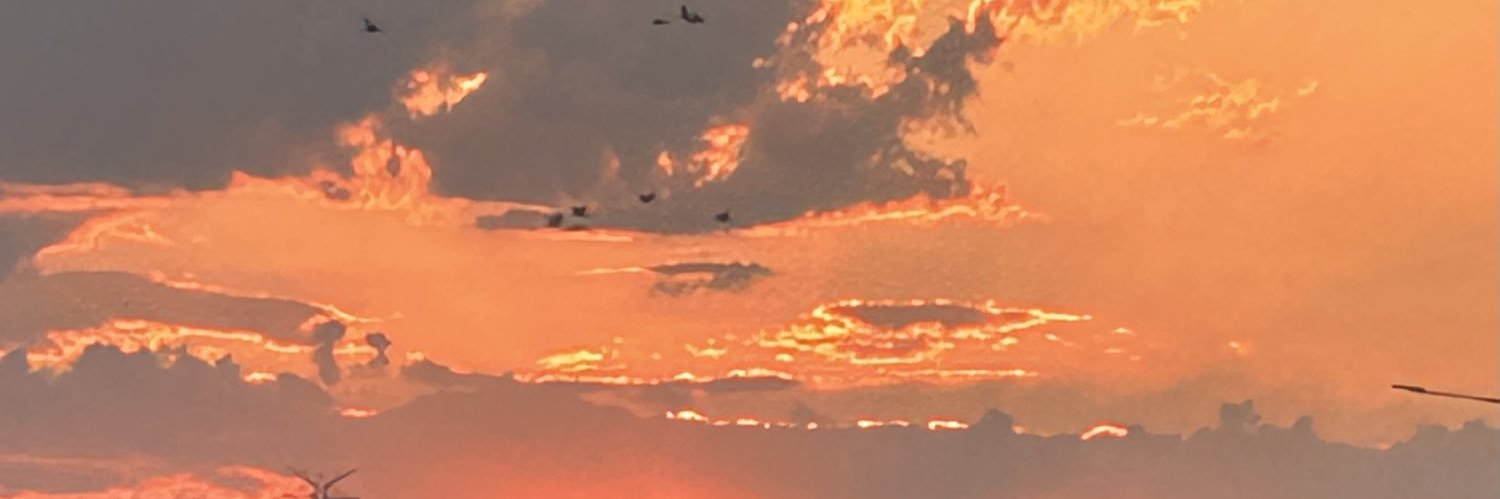 kascee's profile banner image