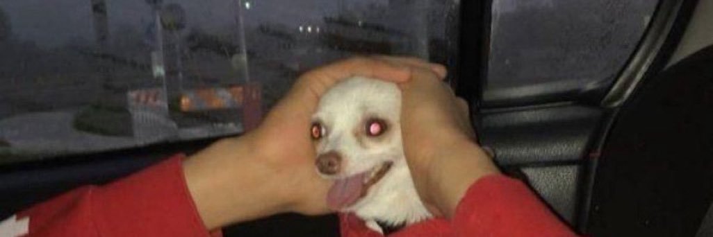 jimmerwitmer's profile banner image