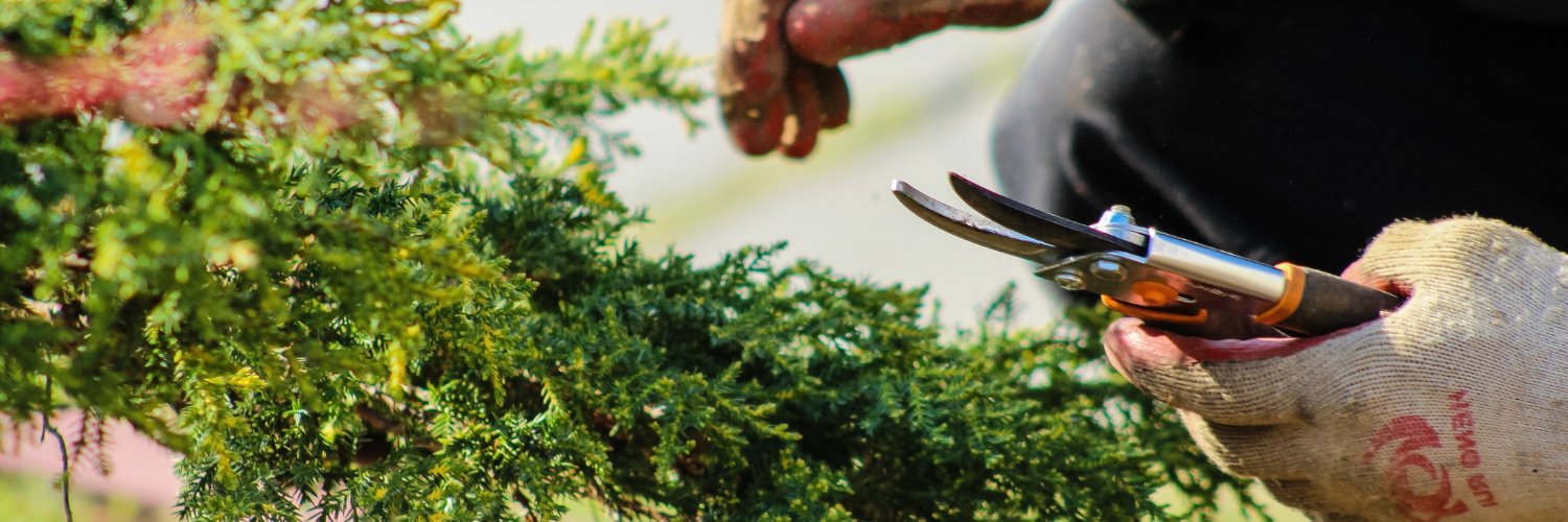 Virginia Cooperative Extension Master Gardeners banner