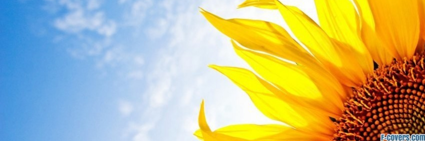 carolineburger's profile banner image