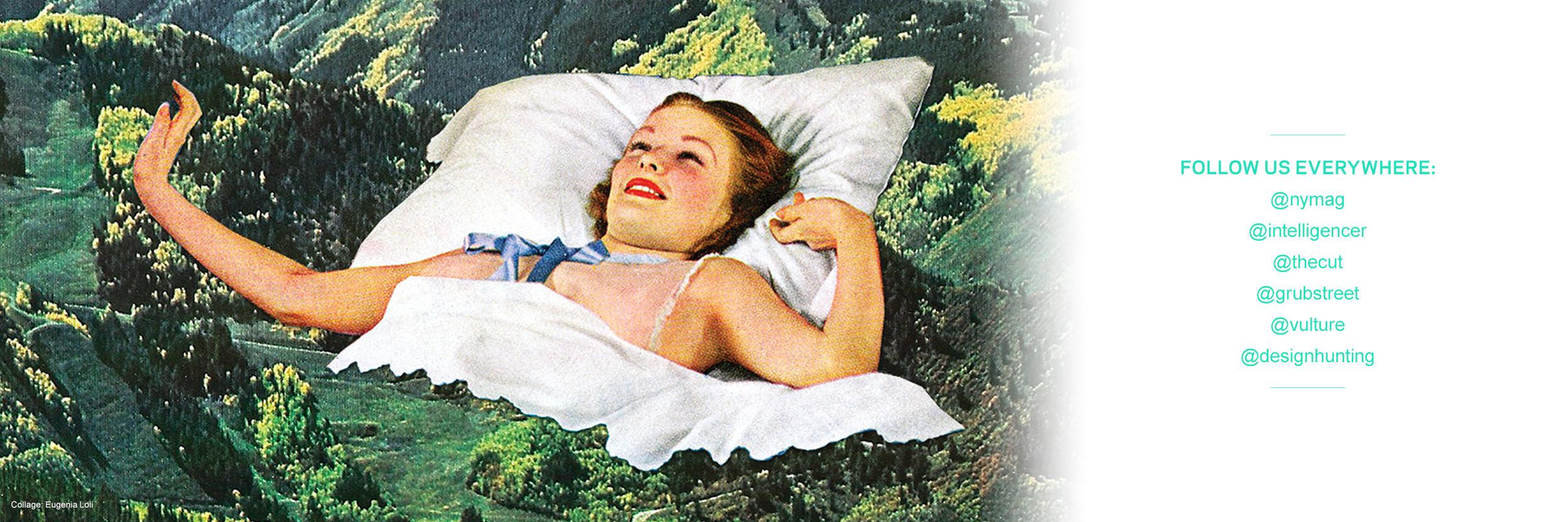 Science of Us banner