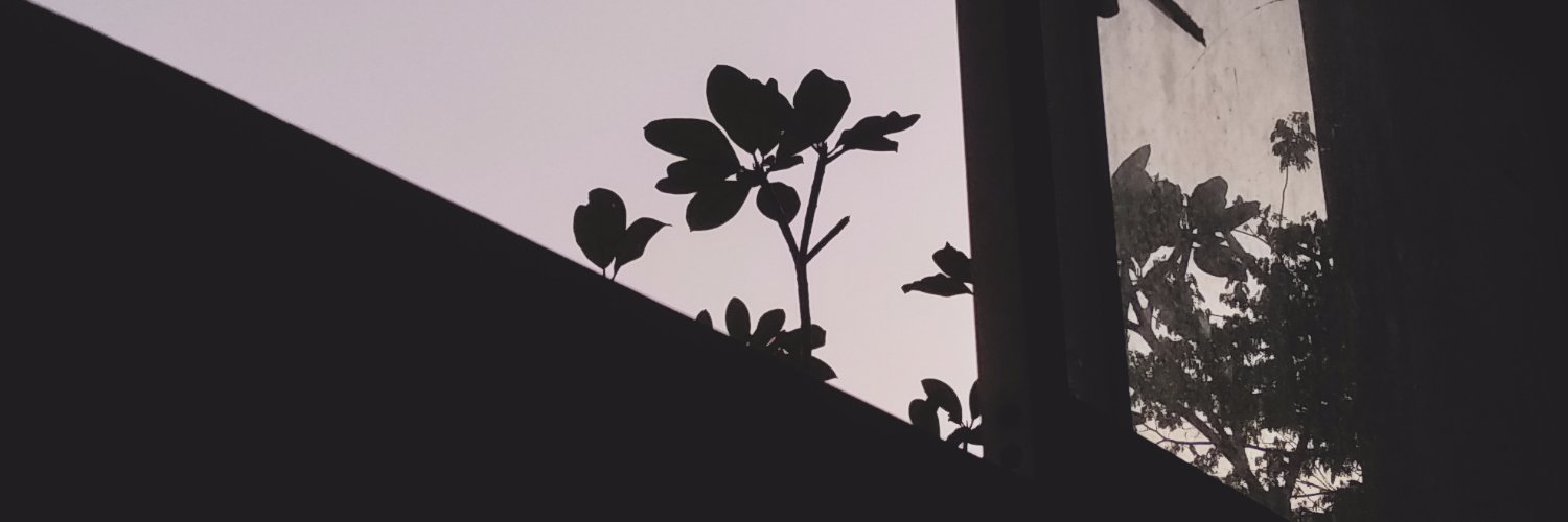 CHN__NS's profile banner image