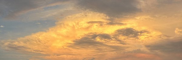 SidneyFullmer Profile Banner