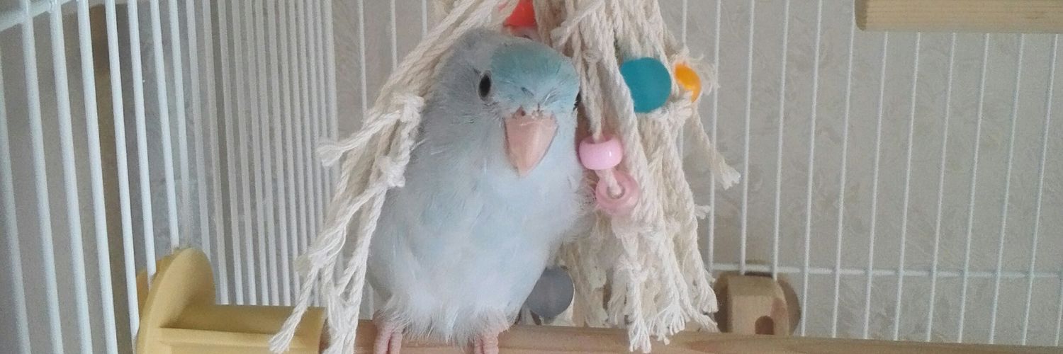 somomii's profile banner image