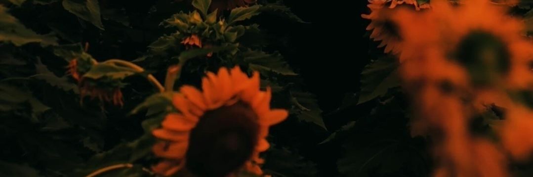 abiegator666's profile banner image