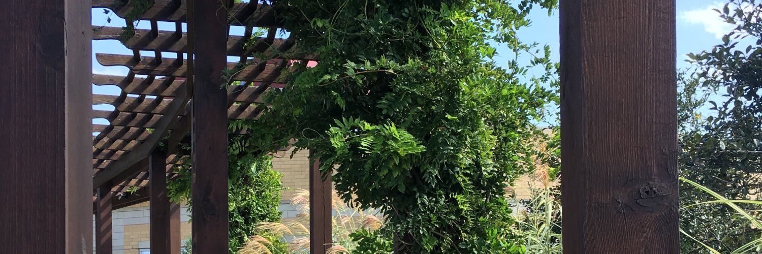 hellohaleyhight's profile banner image