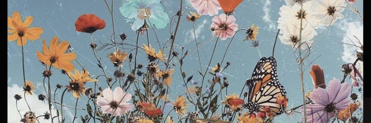 cgrimmm's profile banner image