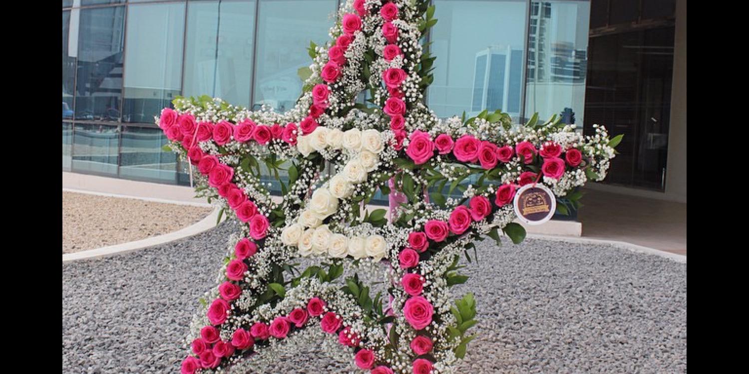 23_nasoor's profile banner image