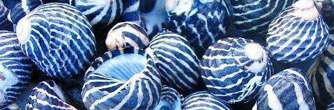 Rocio_OL's profile banner image