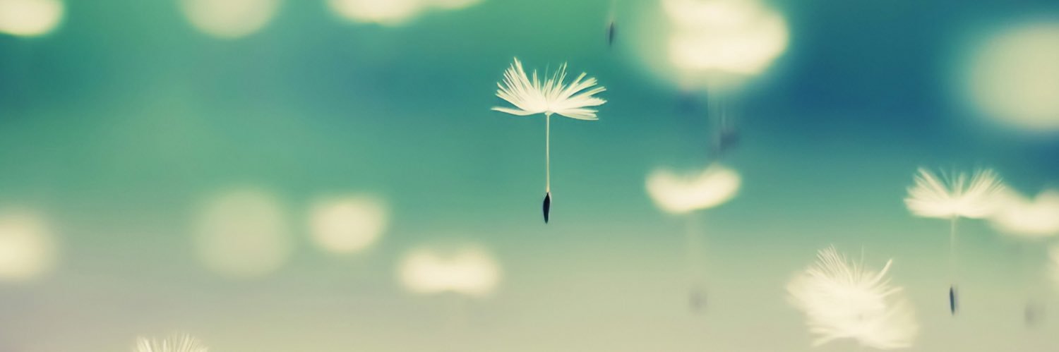 popopoki's profile banner image