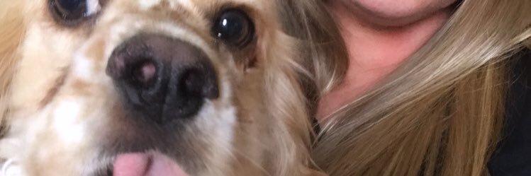 abbbycatt's profile banner image