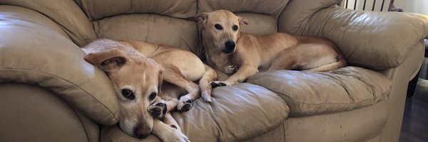 MommaH222 Profile Banner