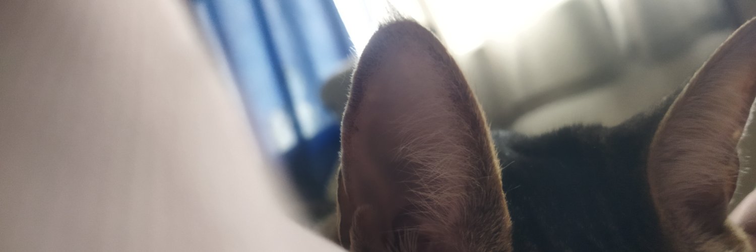 daisrms's profile banner image