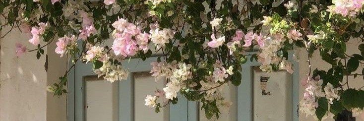 BuddyEina's profile banner image