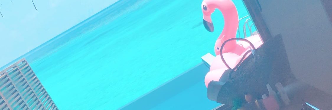 n1sha19's profile banner image