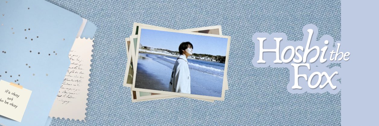 TheFoxHoshi's profile banner image