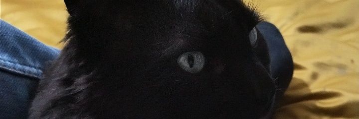 DanielToroh's profile banner image